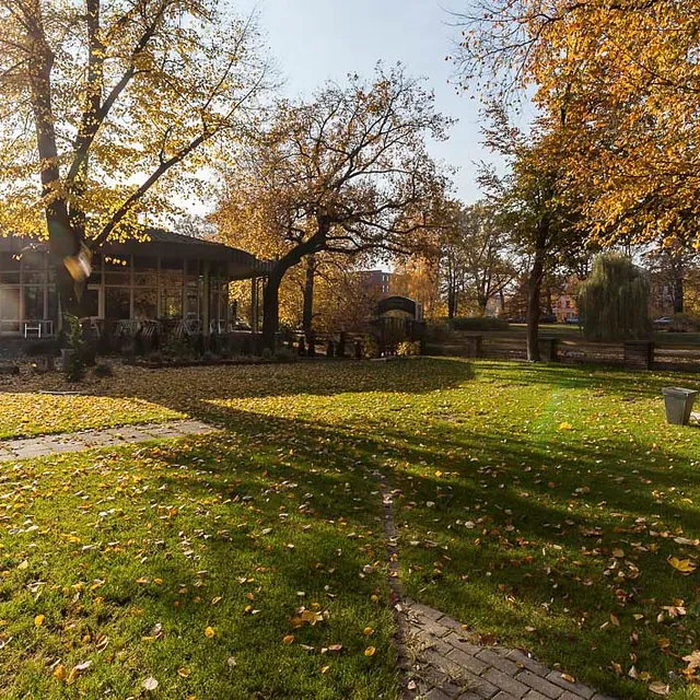 Kontakt zur Freizeitoase Am Amtsteich in Cottbus - Außenanlage